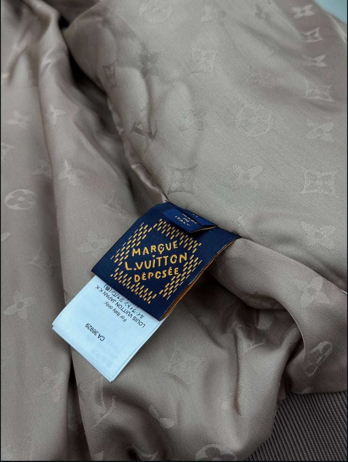 Louis Vuitton Teddy Fleece Jacket
