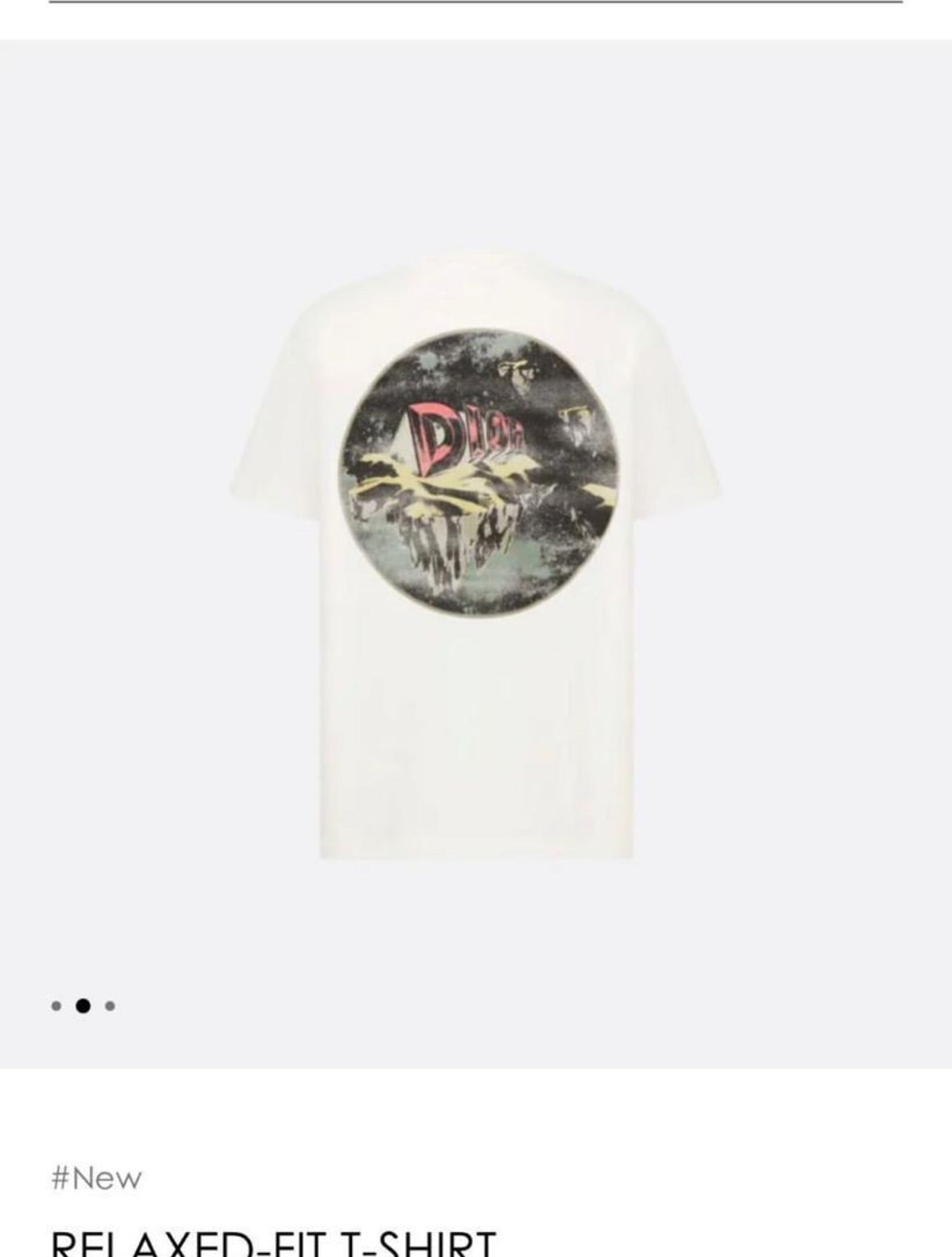 Dior Graphic Mountain Scene T-Shirt white